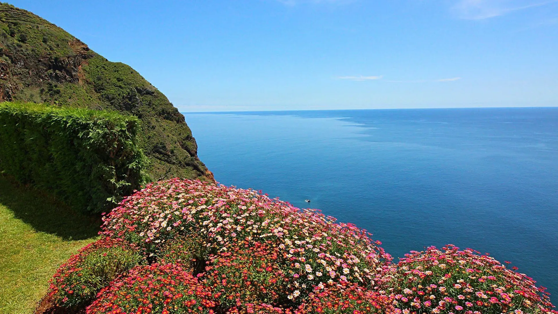 Morning Star Villa Arco da Calheta
