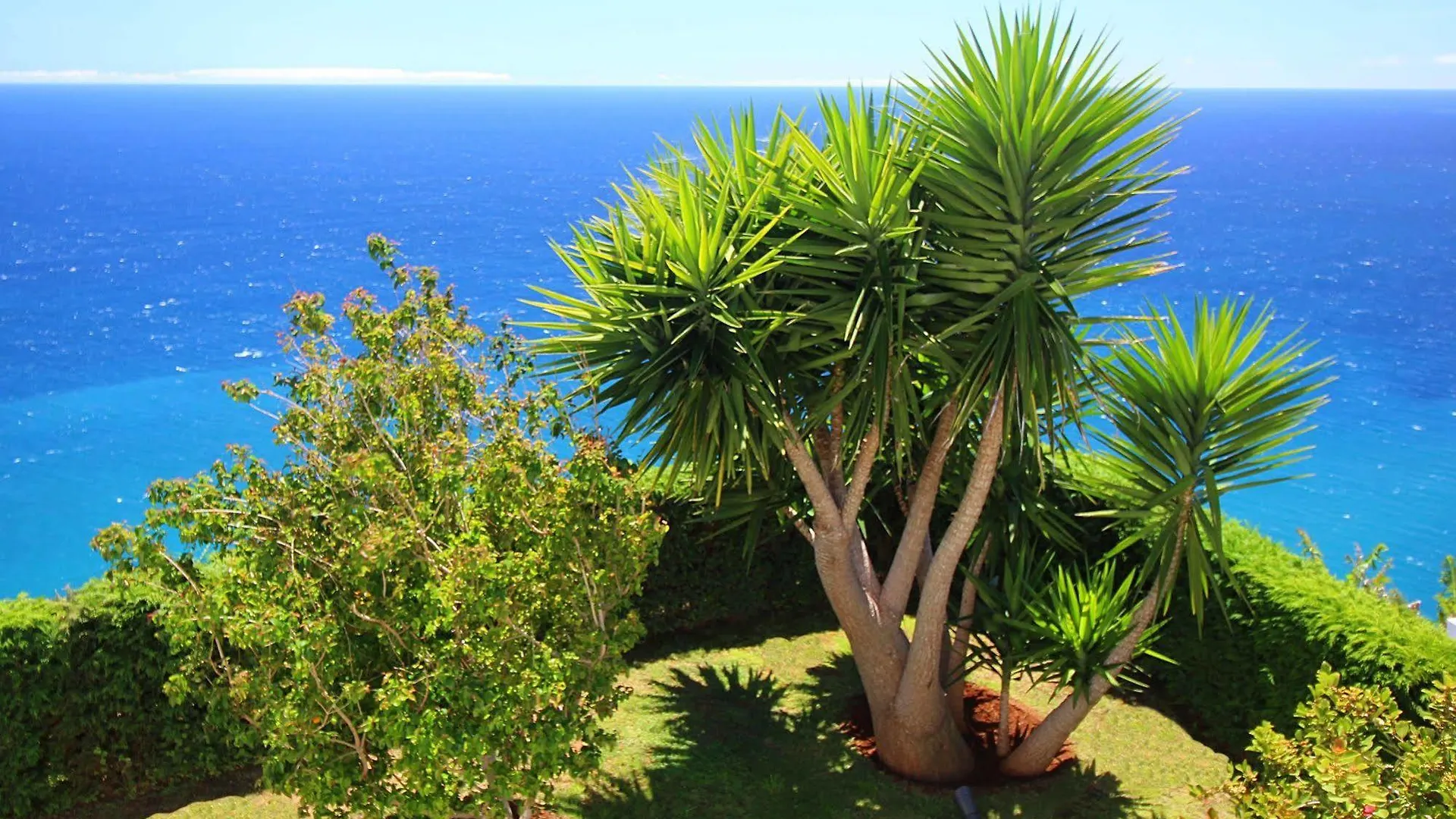 Morning Star Villa Arco da Calheta