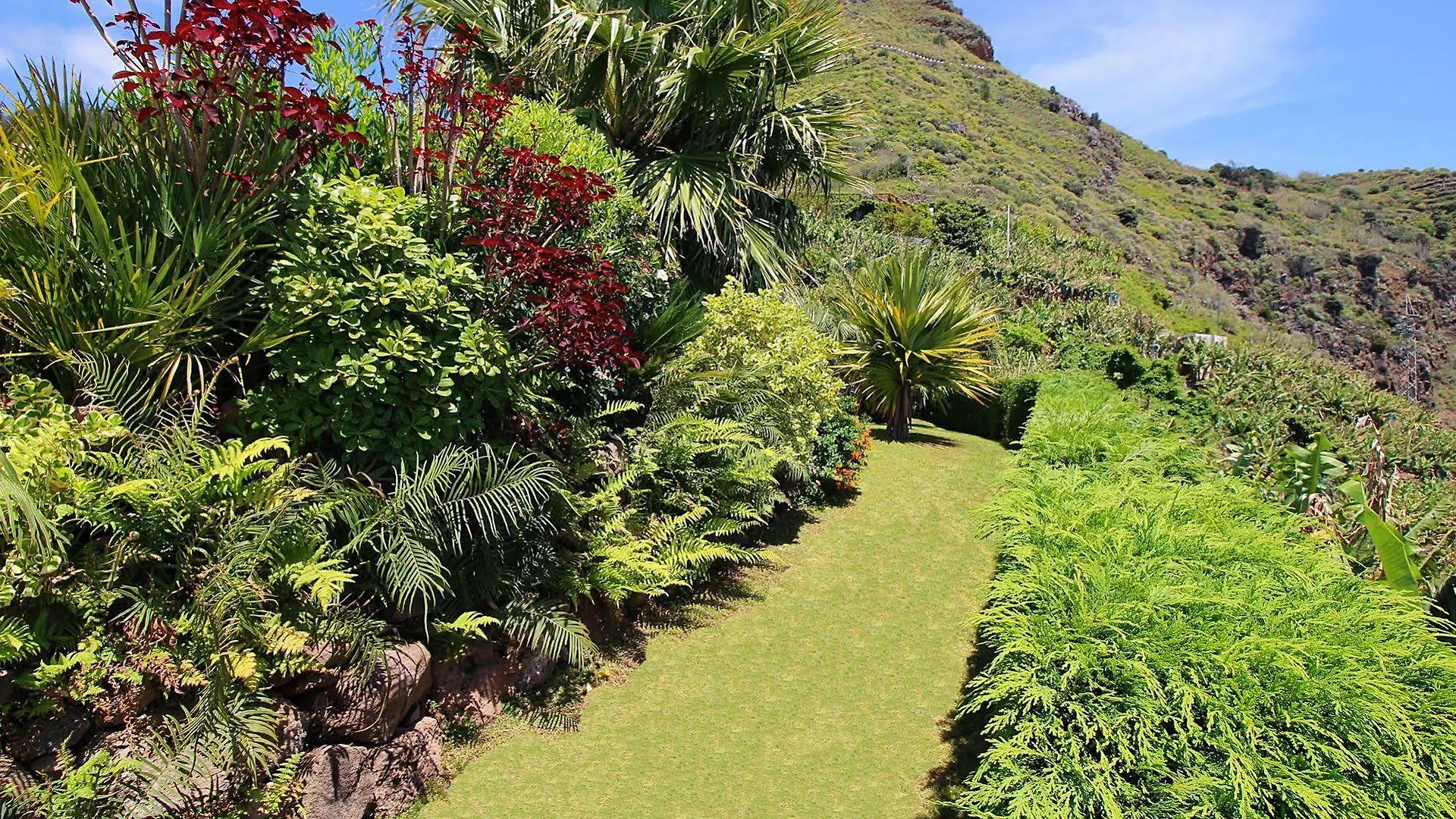 Morning Star Villa Arco da Calheta