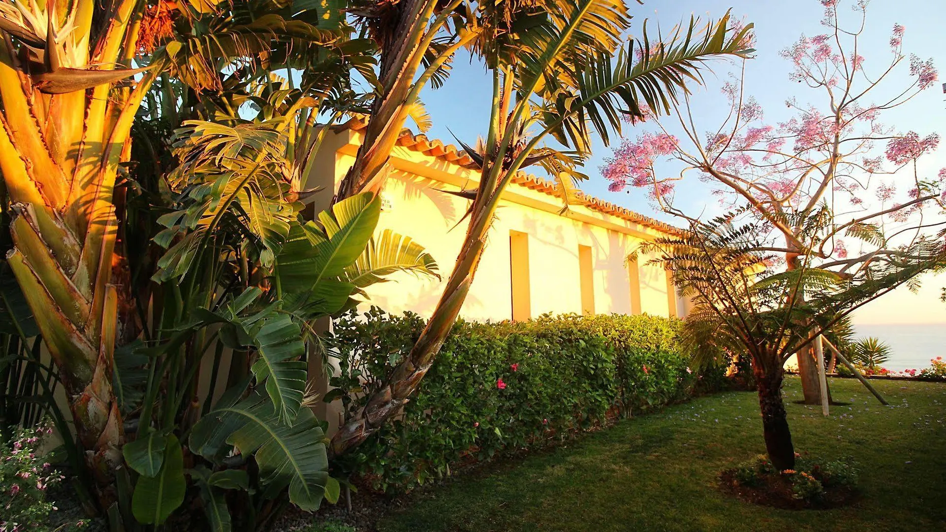 Morning Star Villa Arco da Calheta
